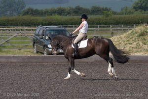 ISIS Dressage Challenge 2008